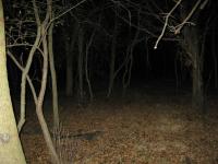 Chicago Ghost Hunters Group investigates Robinson Woods (148).JPG